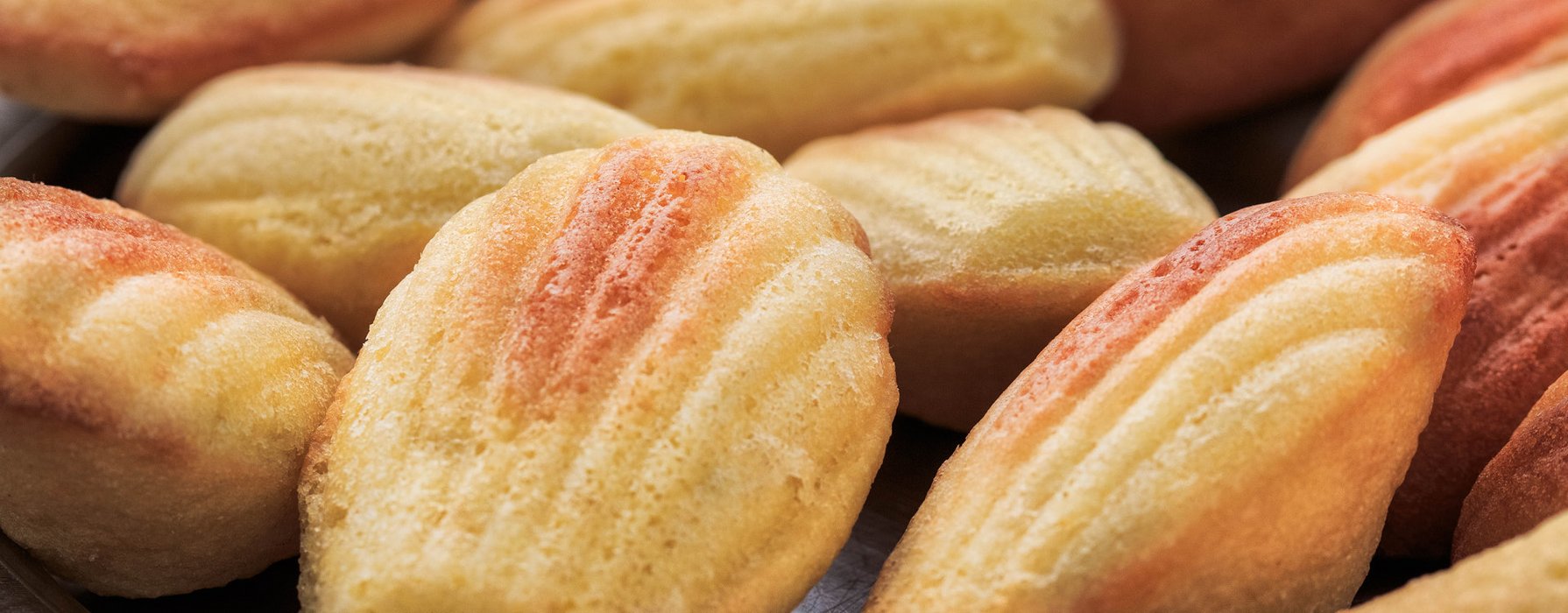 Close-up view of baked madeleine